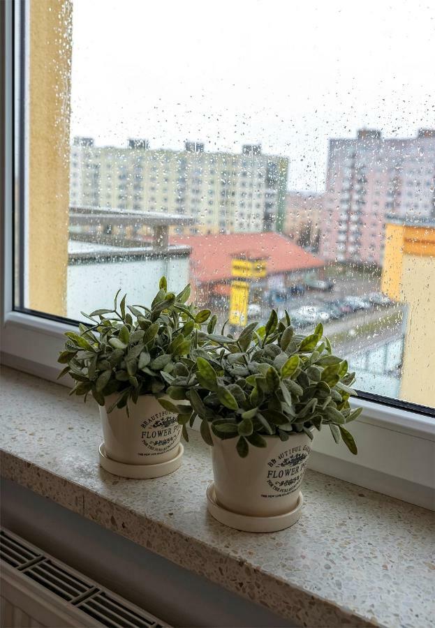 Top Floor Apartment Ґожув-Велькопольський Екстер'єр фото